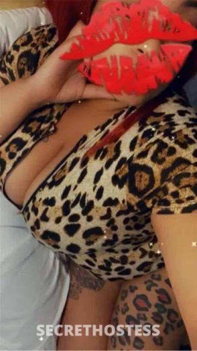  Paradise 24Yrs Old Escort Chesapeake VA Image - 3