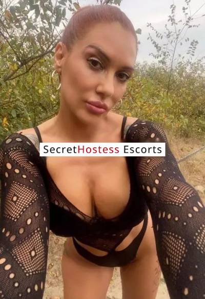 24Yrs Old Escort 63KG 183CM Tall Salzburg Image - 4