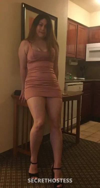 26Yrs Old Escort Poconos PA Image - 4