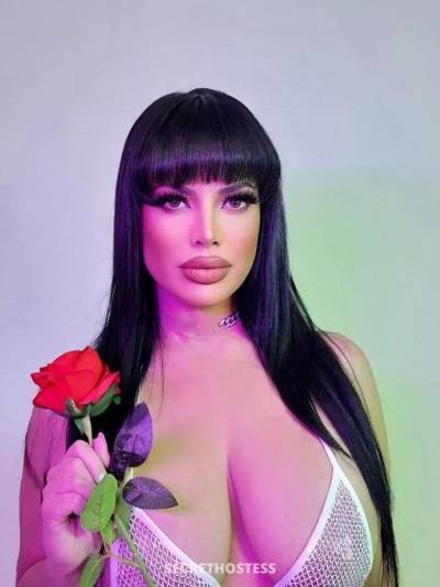 Iris 25Yrs Old Escort 65KG 172CM Tall Yerevan Image - 1