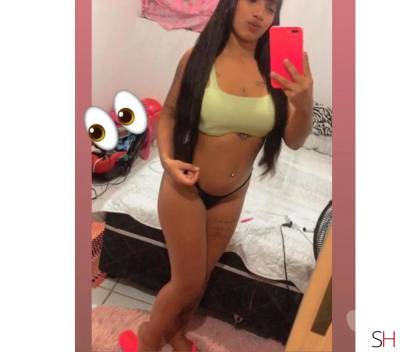 19Yrs Old Escort Mato Grosso Image - 0