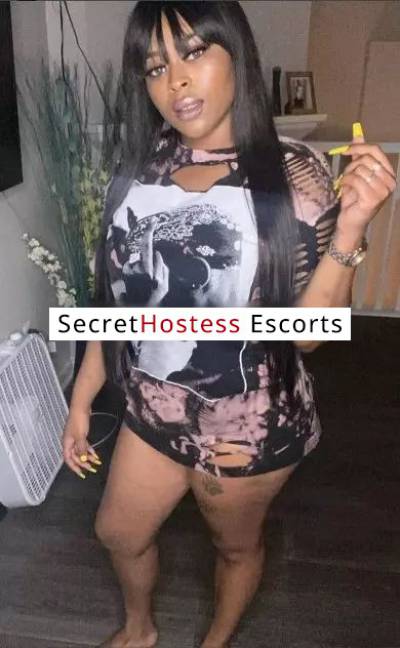 22Yrs Old Escort 72KG 154CM Tall Los Angeles CA Image - 1