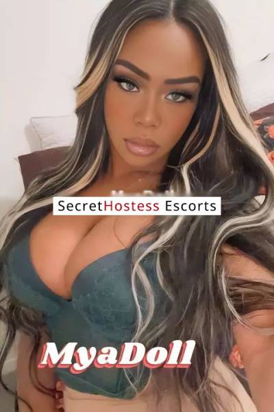 23 Year Old Dominican Escort Miami FL - Image 2