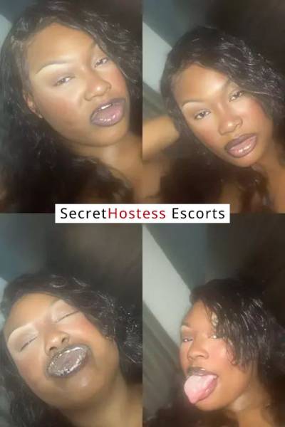 23Yrs Old Escort 79KG Dallas TX Image - 5