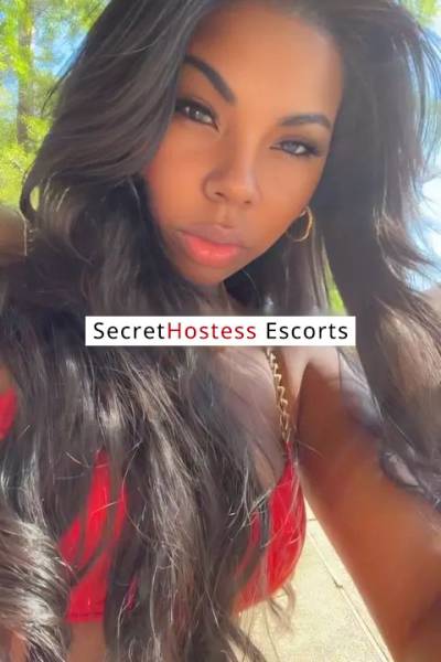 25 Year Old Colombian Escort Houston TX - Image 4