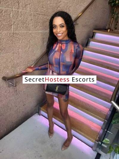 26 Year Old Brazilian Escort Los Angeles CA - Image 4