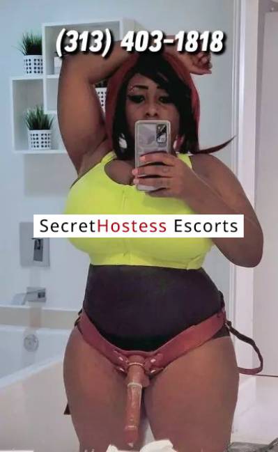 27Yrs Old Escort 90KG 162CM Tall Tampa FL Image - 2