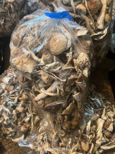 Donna 24Yrs Old Escort Central NJ NJ Image - 2