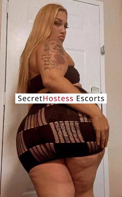 27 Year Old Escort San Diego CA Blonde - Image 3