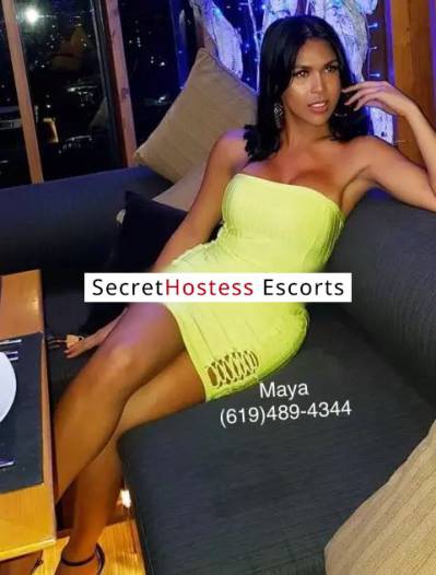 25 Year Old Asian Escort San Diego CA Brunette - Image 2