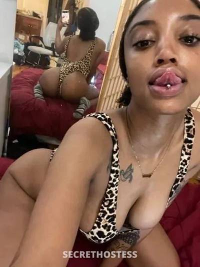 Rose 24Yrs Old Escort Everett WA Image - 3