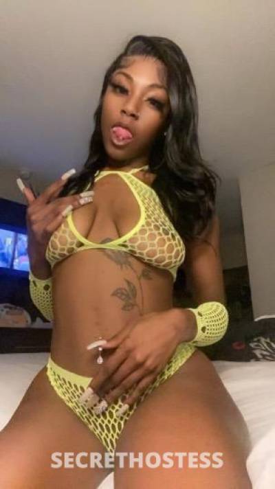 22Yrs Old Escort Dallas TX Image - 1