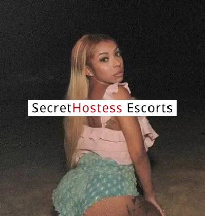 22 Year Old Escort Dallas TX Blonde - Image 7