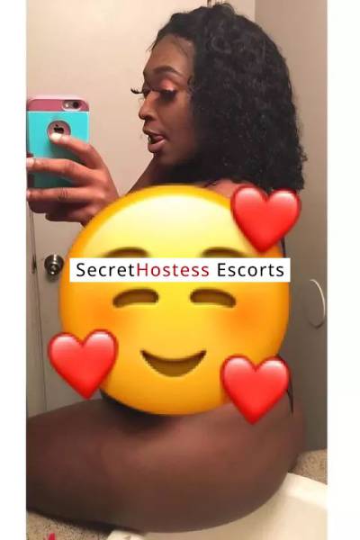 22Yrs Old Escort 162CM Tall Dallas TX Image - 3