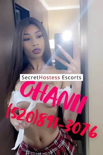 23Yrs Old Escort Tucson AZ Image - 2