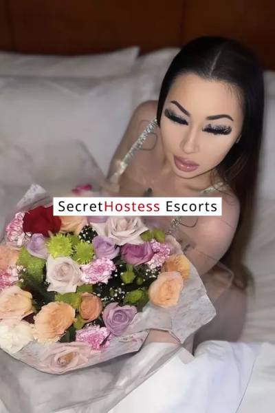 23 Year Old Asian Escort San Jose CA Brunette - Image 6