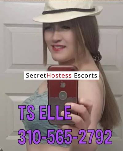 23Yrs Old Escort 56KG 165CM Tall San Diego CA Image - 0