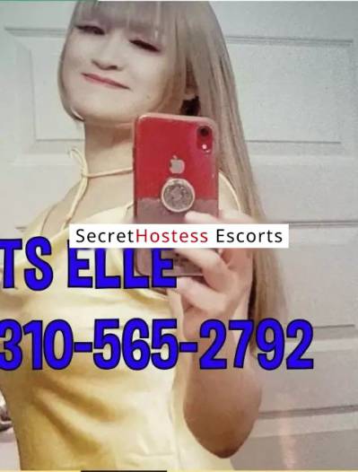 23Yrs Old Escort 56KG 165CM Tall San Diego CA Image - 4