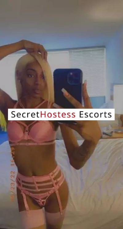 23 Year Old Escort Fort Lauderdale FL Redhead Brown eyes - Image 1