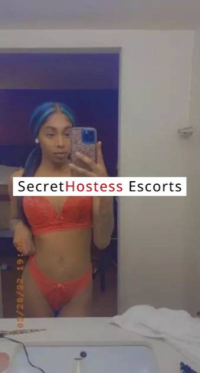 23 Year Old Escort Fort Lauderdale FL Redhead Brown eyes - Image 4