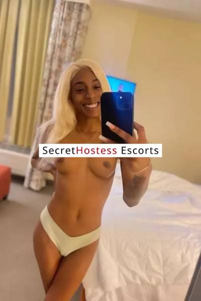 23 Year Old Escort Fort Lauderdale FL Redhead Brown eyes - Image 6