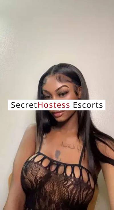 23 Year Old Escort Miami FL - Image 7