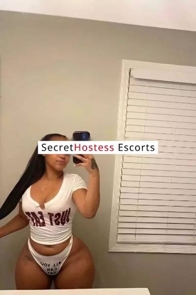 25 Year Old Indian Escort Chicago IL - Image 4