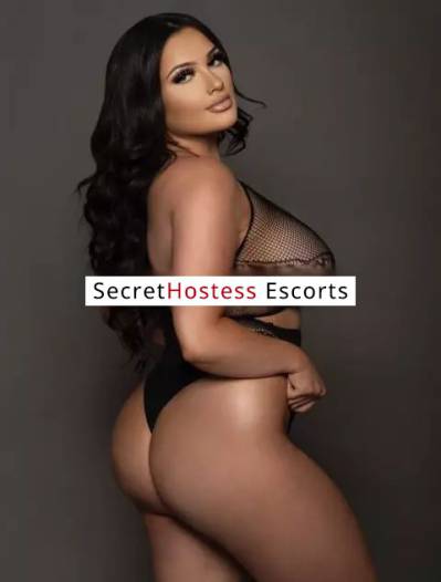 26 Year Old Escort Chicago IL Brunette - Image 3