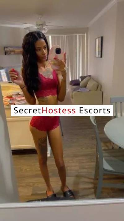 26Yrs Old Escort 58KG 190CM Tall Dallas TX Image - 2