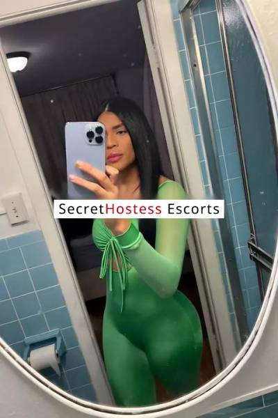 27 Year Old Colombian Escort Los Angeles CA - Image 4