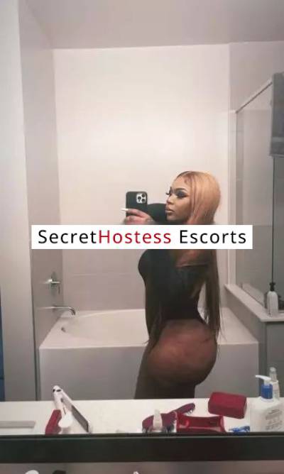 27Yrs Old Escort 68KG 165CM Tall Houston TX Image - 5