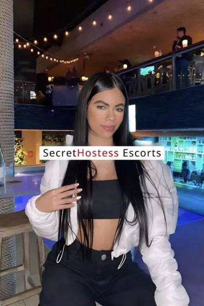 27 Year Old Swedish Escort Fort Lauderdale FL - Image 2