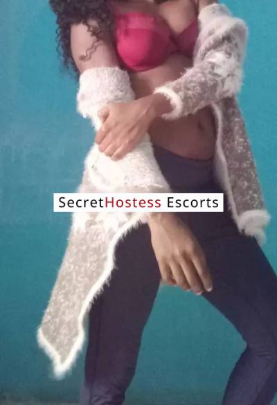 28Yrs Old Escort 60KG 162CM Tall Cape Town Image - 0