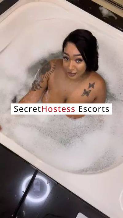 Maya 100% REAL PICS! 23Yrs Old Escort 177CM Tall Chicago IL Image - 6