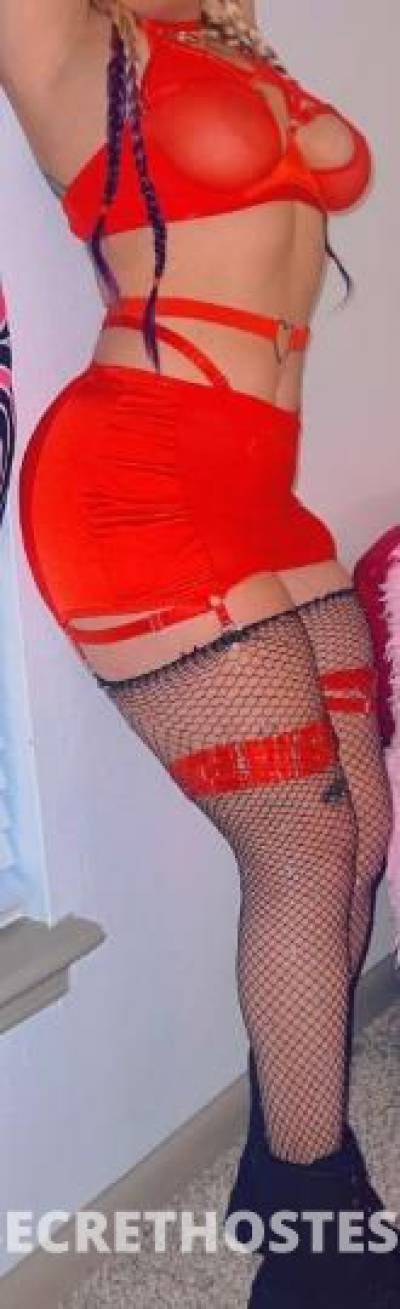 AshleyMadison 27Yrs Old Escort Greenville SC Image - 7