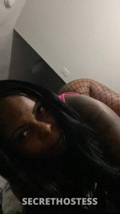 LONDON 25Yrs Old Escort San Antonio TX Image - 2