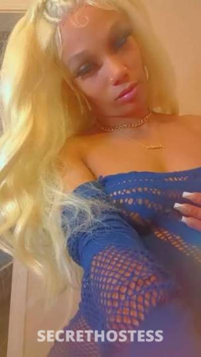 Mickiilove 29Yrs Old Escort Tallahassee FL Image - 4