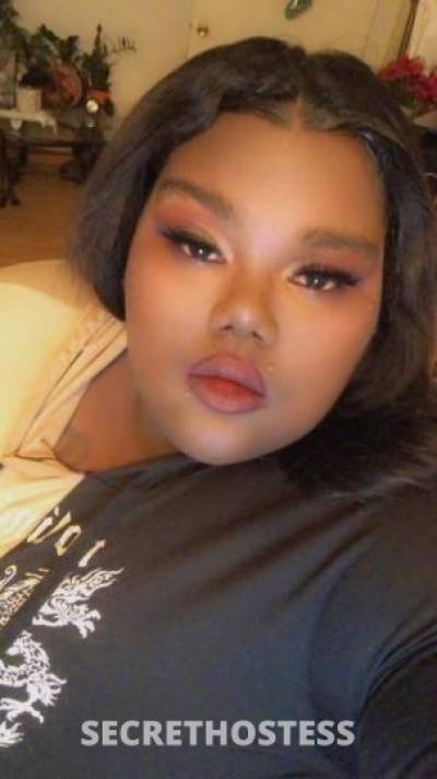 28 year old Escort in San Mateo CA come get treated like a king