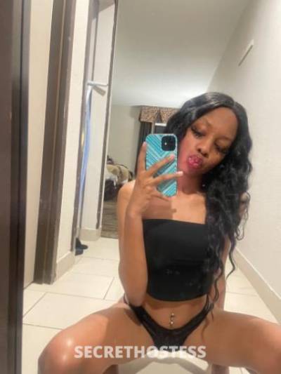 Paradise🍫 27Yrs Old Escort Austin TX Image - 1