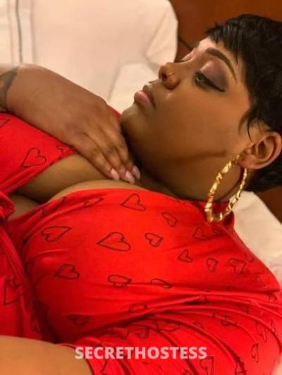 Star 28Yrs Old Escort Washington DC Image - 7