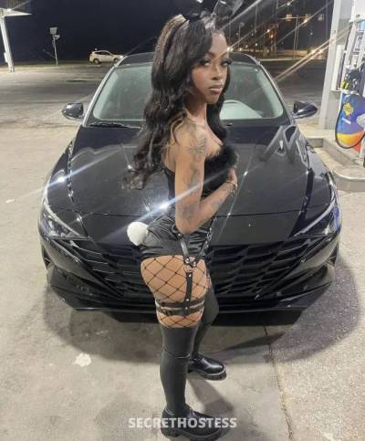 &nbsp; Maryleech4 25Yrs Old Escort Albuquerque NM Image - 1
