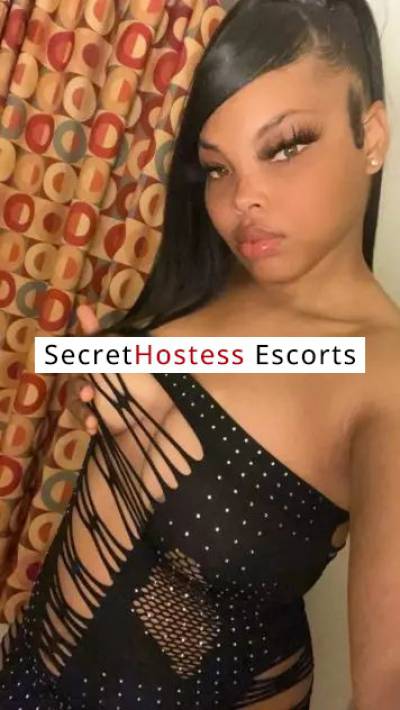 22Yrs Old Escort 72KG 162CM Tall Sacramento CA Image - 0