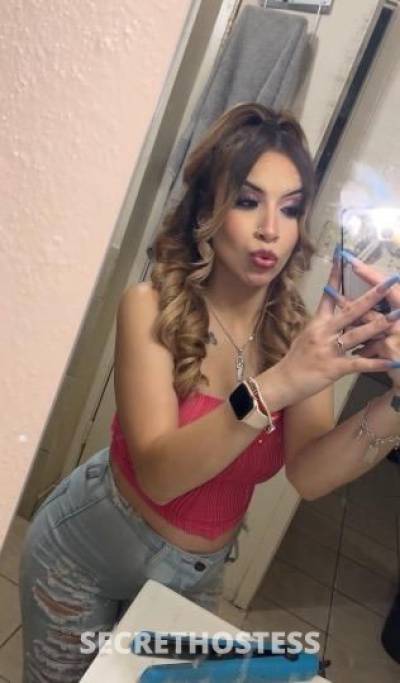 22Yrs Old Escort Houston TX Image - 1