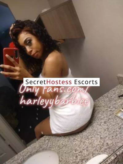 23 Year Old Cuban Escort Dallas TX - Image 2