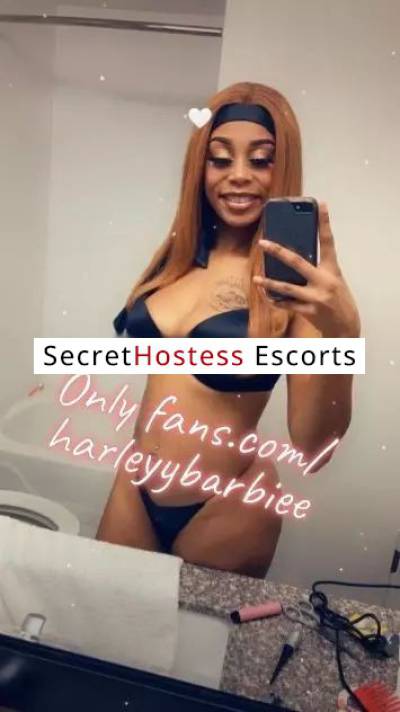 23 Year Old Cuban Escort Dallas TX - Image 3