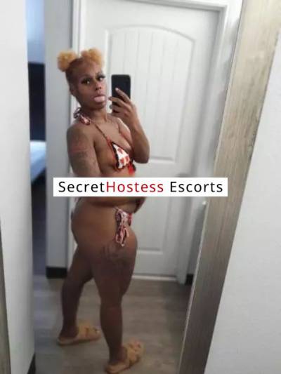 23Yrs Old Escort 68KG 172CM Tall Dallas TX Image - 2