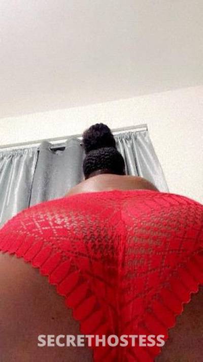 24Yrs Old Escort Corpus Christi TX Image - 2