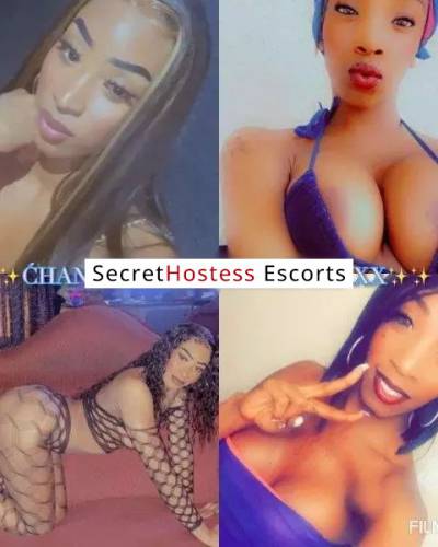 24Yrs Old Escort 60KG 170CM Tall Miami FL Image - 1