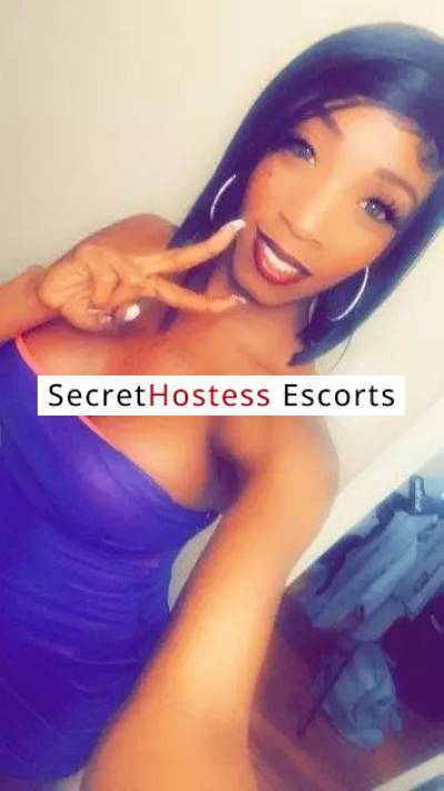 24 Year Old Escort Miami FL - Image 3