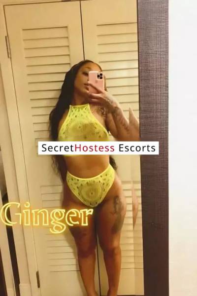 25Yrs Old Escort 70KG 154CM Tall Washington DC Image - 0